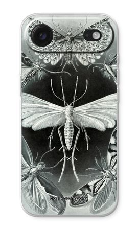 Haeckel Tineida