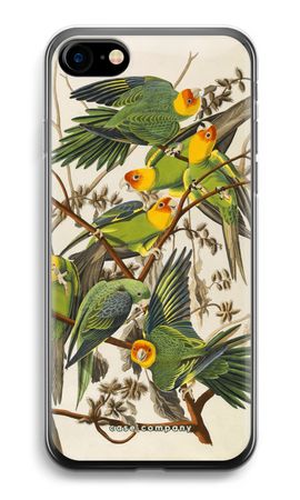 Carolina Parrot