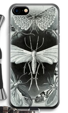 Haeckel Tineida
