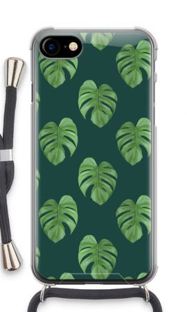 Monstera leaves