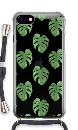 Monstera leaves