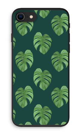 Monstera leaves