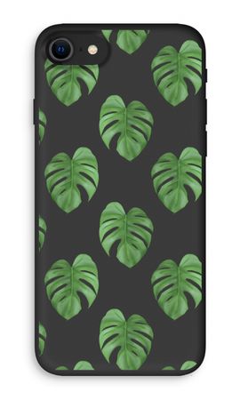 Monstera leaves