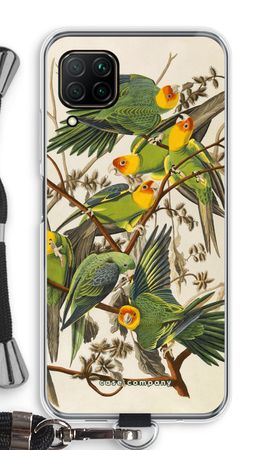 Carolina Parrot