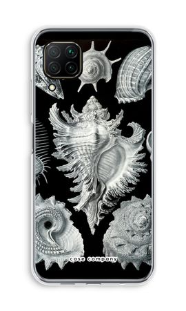 Haeckel Prosobranchia