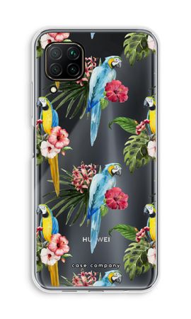 Färgglada papegojor