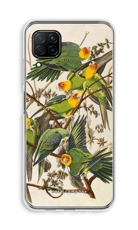 Carolina Parrot