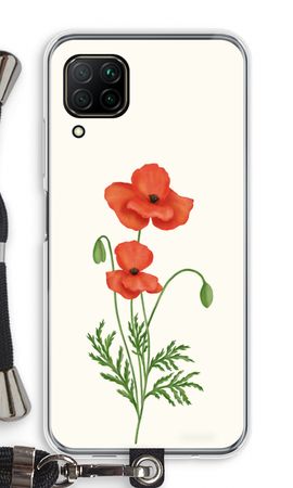 Red poppy