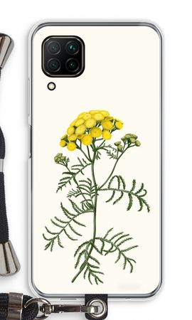 Tansy