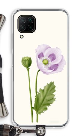 Purple poppy