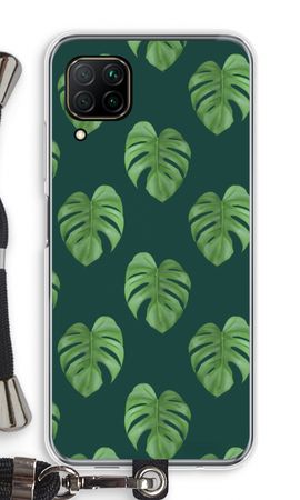 Monstera leaves
