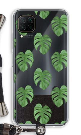 Monstera leaves