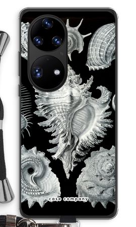 Haeckel Prosobranchia