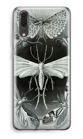 Haeckel Tineida