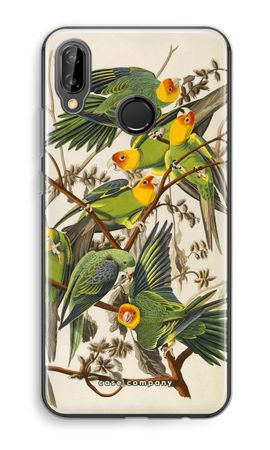 Carolina Parrot