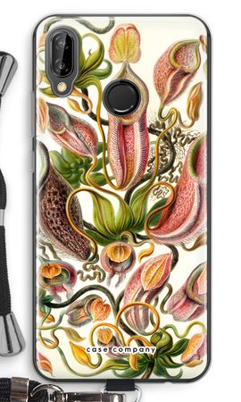 Haeckel Nepenthaceae