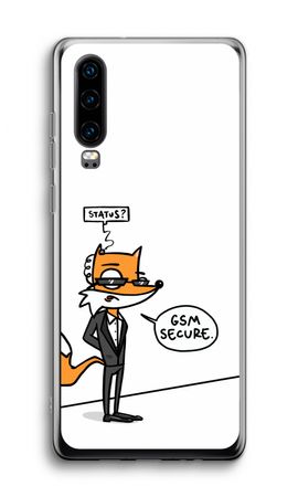 GSM secure
