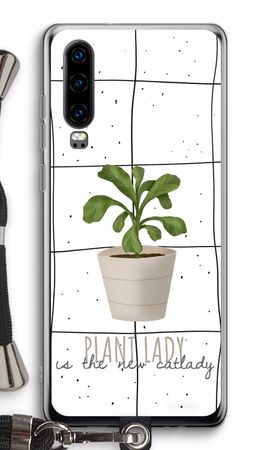 Houseplant on windowpane