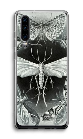 Haeckel Tineida