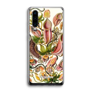 Haeckel Nepenthaceae