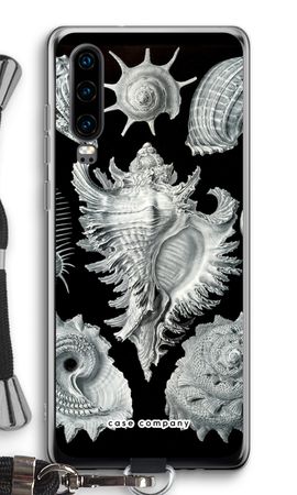 Haeckel Prosobranchia