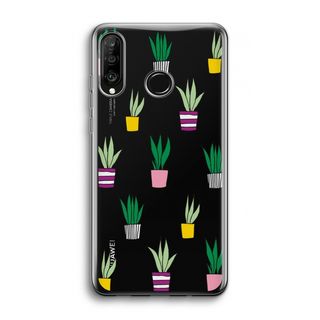 Sanseveria