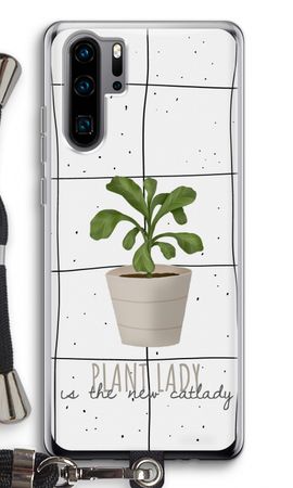 Houseplant on windowpane