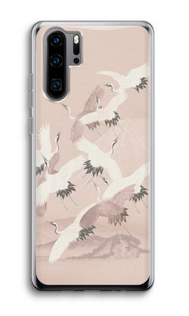 Japanese Crane Birds