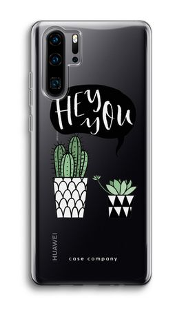 Hey you cactus