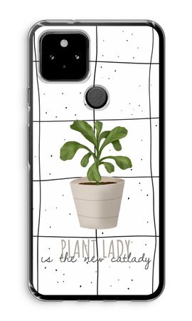 Kamerplant op vensterruit