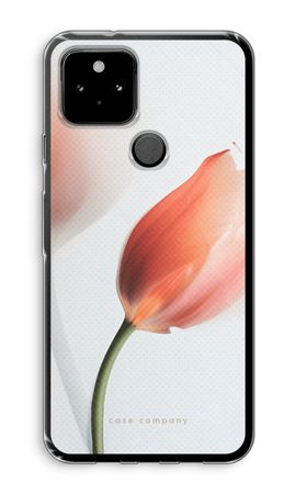 Tulip