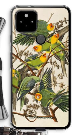 Carolina Parrot