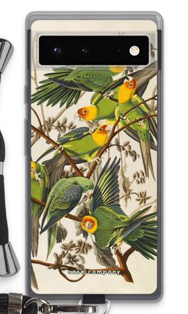 Carolina Parrot