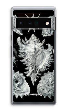 Haeckel Prosobranchia