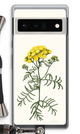 Tansy