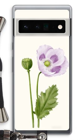 Purple poppy