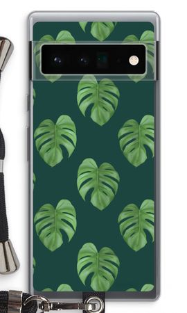 Monstera leaves
