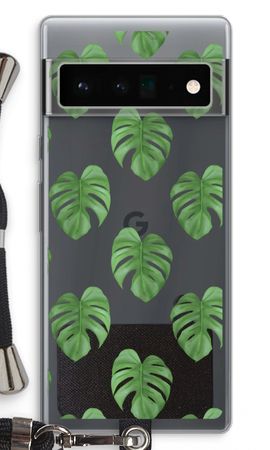Monstera leaves
