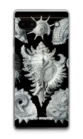 Haeckel Prosobranchia