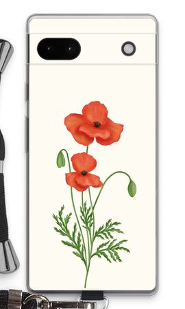 Red poppy