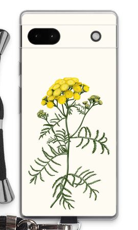 Tansy