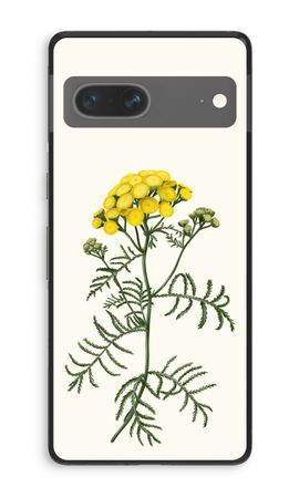 Tansy