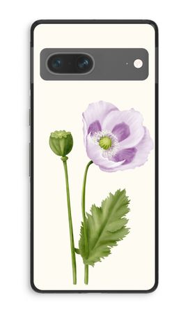 Purple poppy