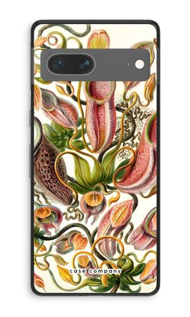 Haeckel Nepenthaceae