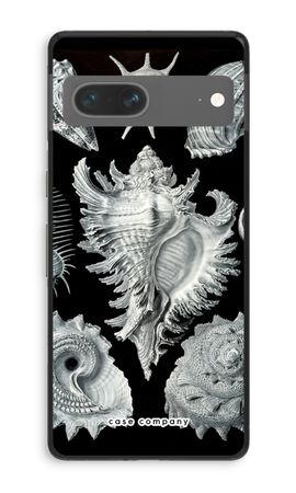 Haeckel Prosobranchia