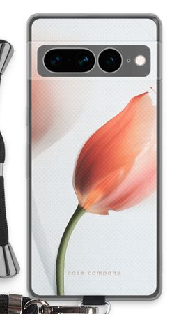 Tulip