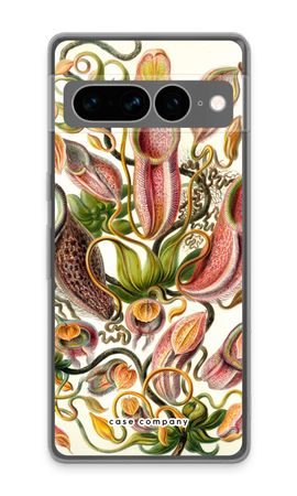 Haeckel Nepenthaceae