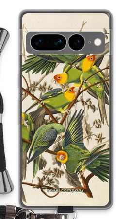 Carolina Parrot