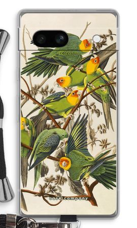 Carolina Parrot