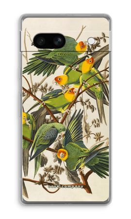 Carolina Parrot